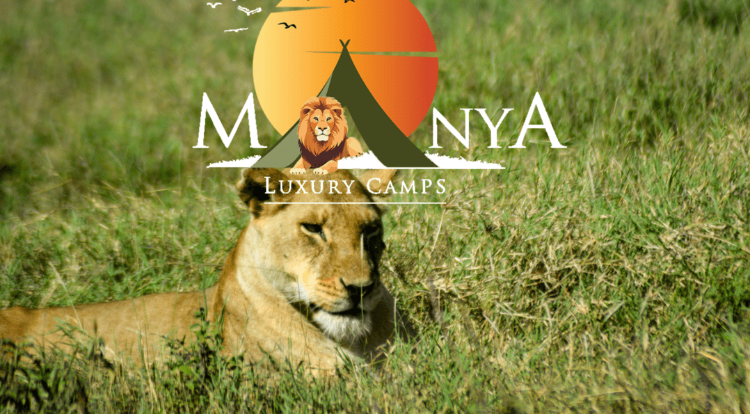 Where Every Journey Begins at Manya Luxury Camps Serengeti - Manya ...